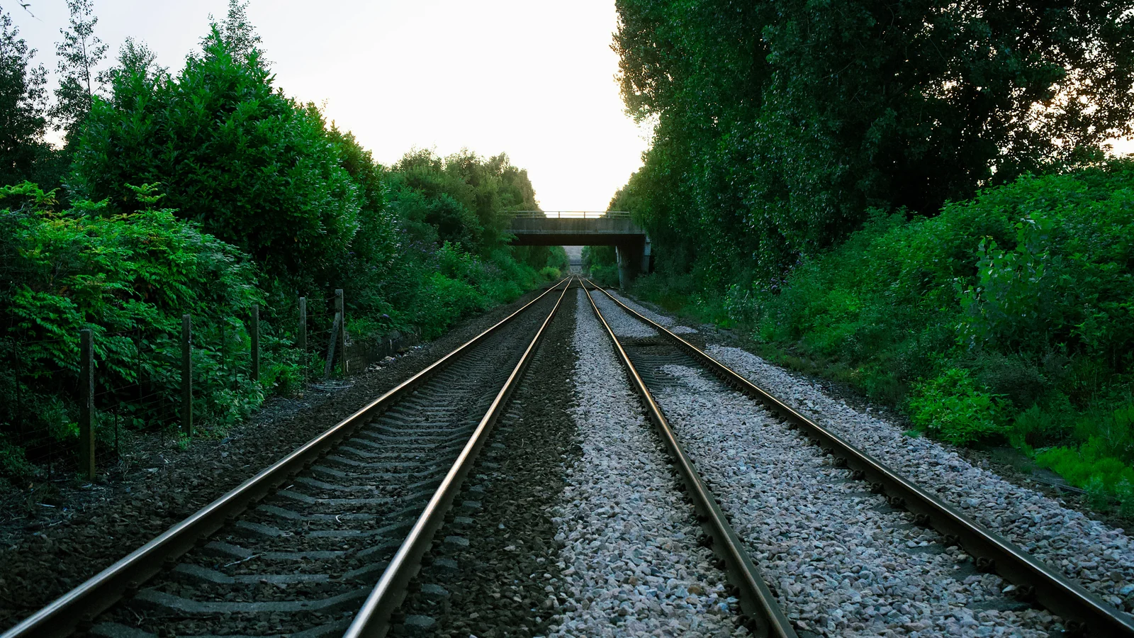 Illustrative stock image of railway tracks leading towards a bridge between green trees.