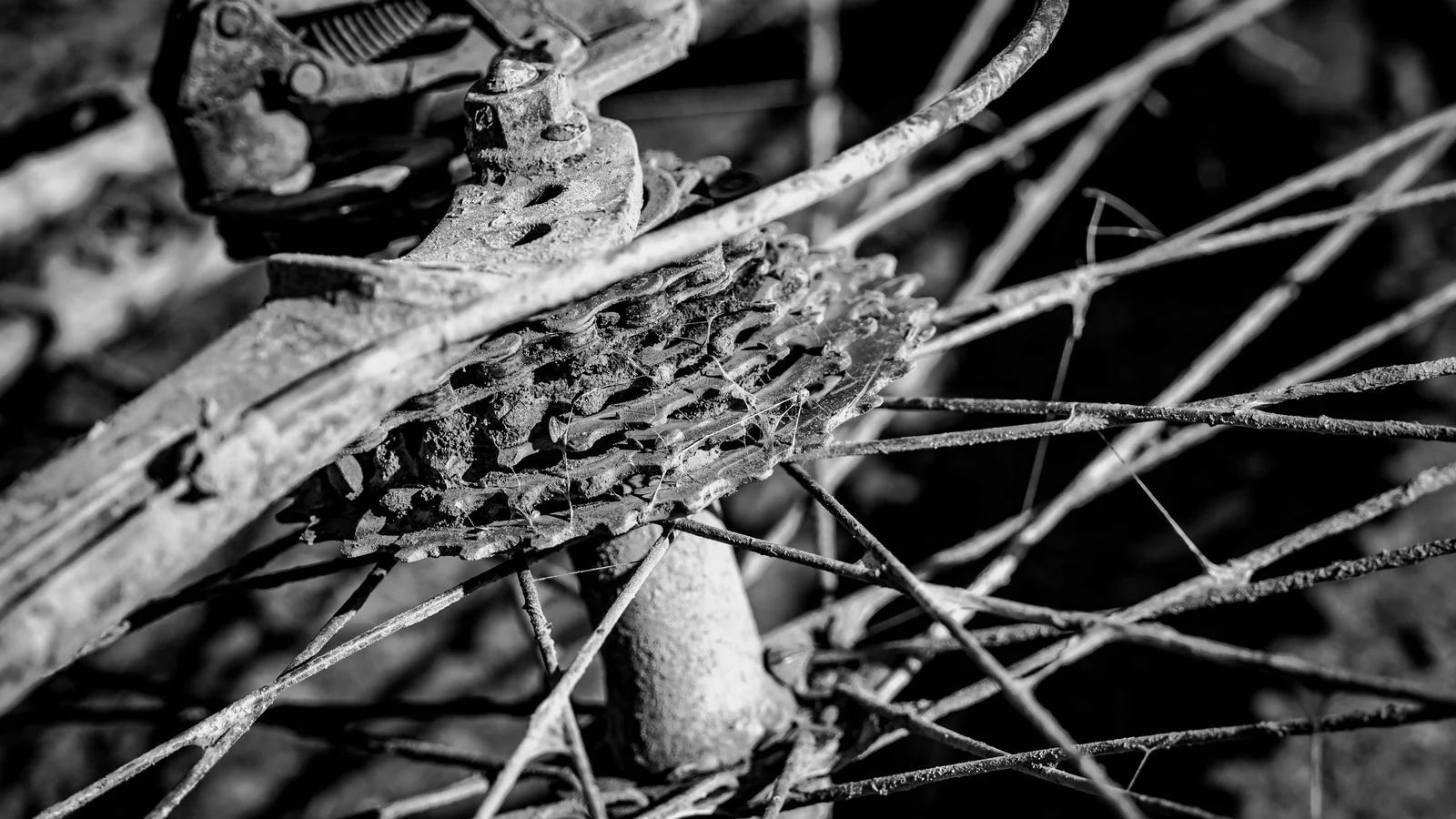 Black-and-white close-up of worn bicycle rear sprockets, chain and spokes.
