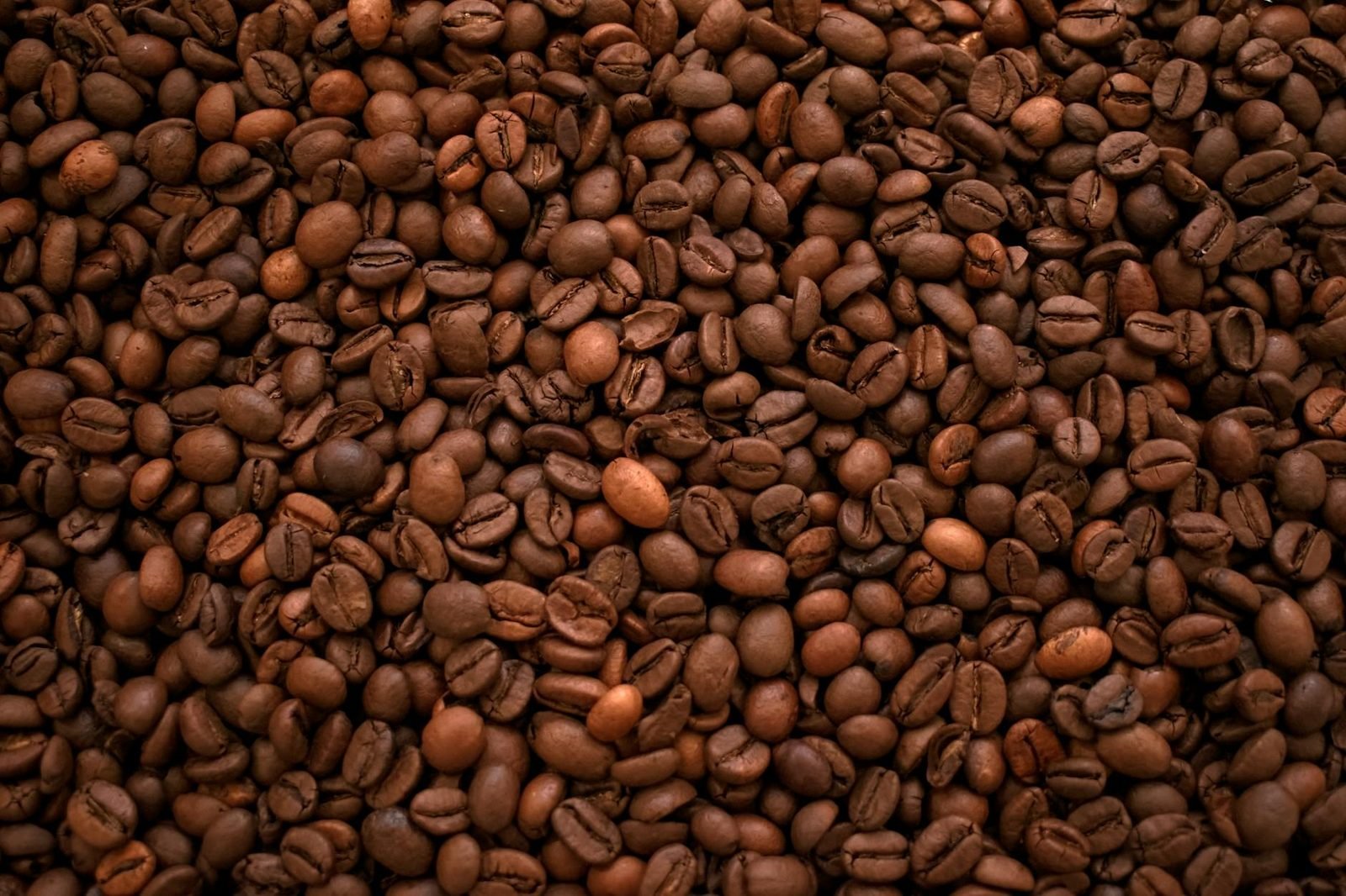Coffee Subscription Reviews: Beans, Grind Choice and Pause Settings