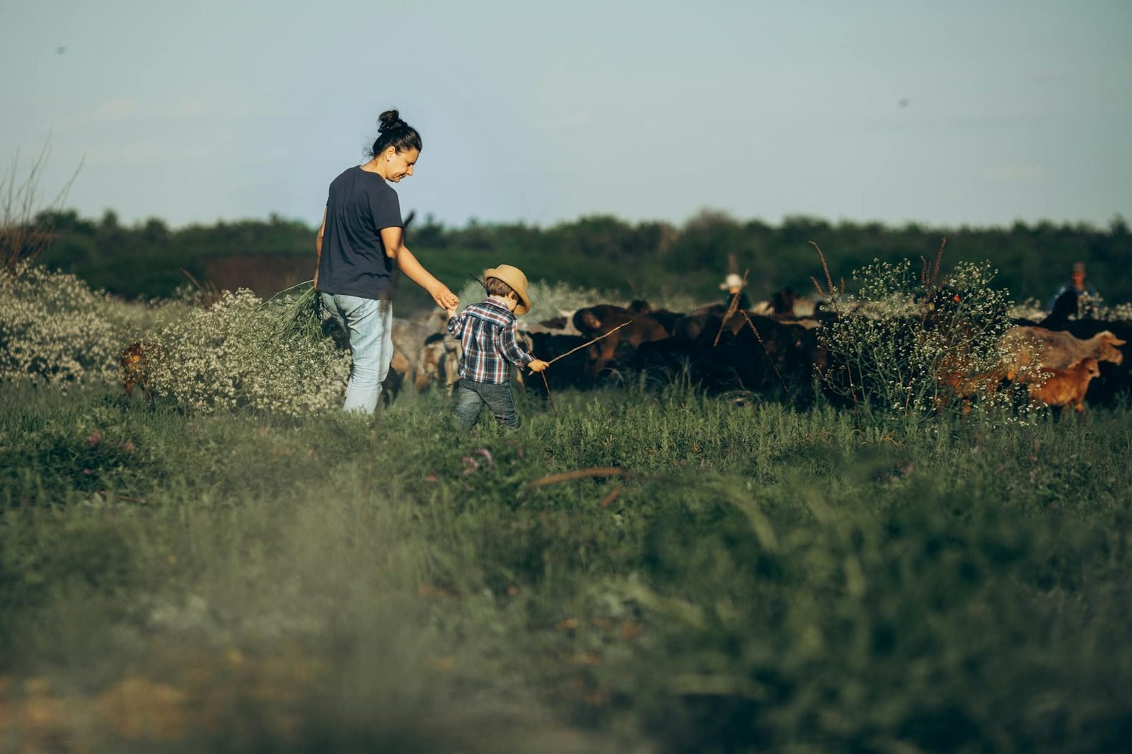Farm Stay Breaks: Animal Activities, Meal Plans and Wet Weather Options